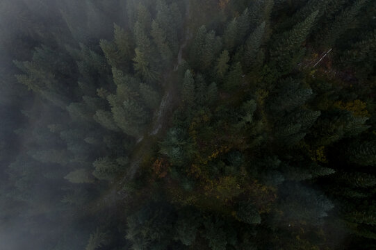 Bird's eye view of forest clearing in mountain area during cloudy day