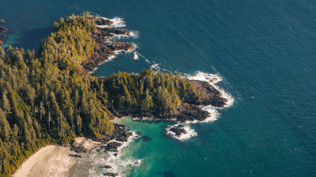 View of a forested coast surrounded by ocean in the summer