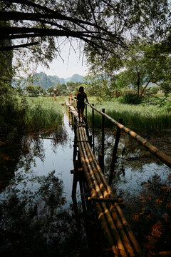 Enjoying nature while walking on a bamboo bridge in Vietnam