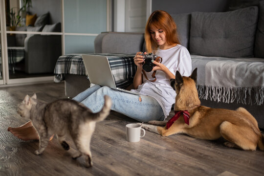 Female Photographer looking through photos near pets