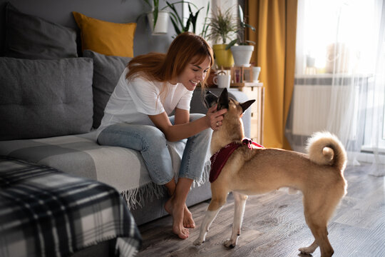 Cheerful woman petting dog at home