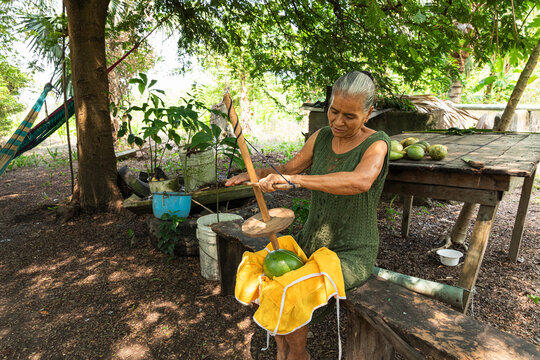 Woman interacting with green fruit and tools