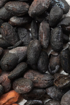 Close-up of toasted cacao beans