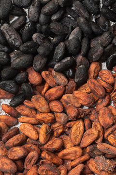 Textured Display of cacao Beans on Plate