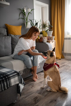 Smiling woman scratching dog at home