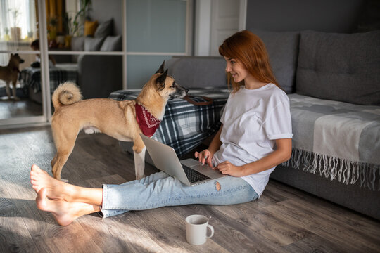 Dog owner doing freelance job at home. Woman with her best friend