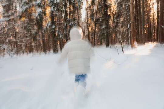 Enjoying A Walk In The Snowy Winter Forest