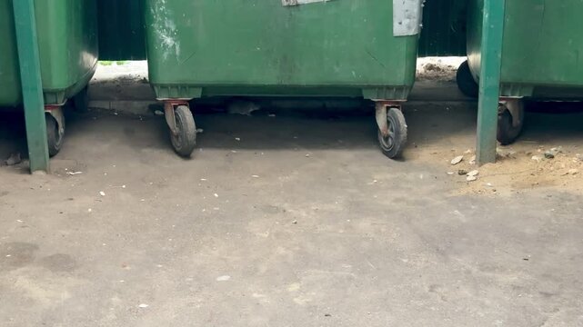 Low-angle urban scene showing the undersides of three green metal dumpsters lined across an alley. Visible caster wheels, rusted metal aprons and chipped