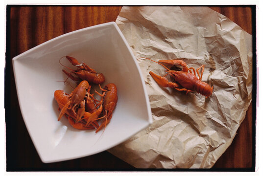 Crayfish on the kitchen table