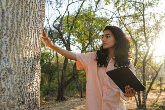 Woman ecologist studying tree bark in forest environment