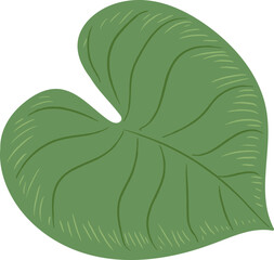 Leaf Monstera Heart Shape Cartoon © Mykola Syvak