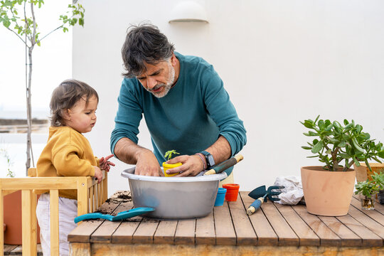 Father And Baby Potting Small Plants Together