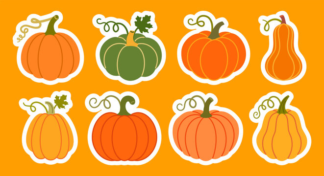Pumpkins stickers collection featuring vibrant flat cartoon style squash varieties, isolated clipart elements for creative projects.