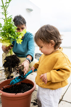 Father Showing Baby Plant Roots During Gardening