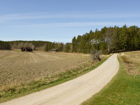typical old finnish barn during spring in finland