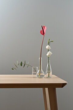 Minimal Floral Trio with Soft Neutral Background