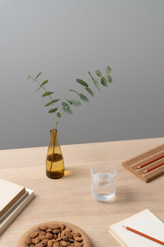 Eucalyptus Branch with Minimal Desk Objects
