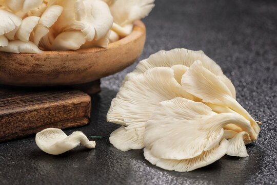 Fresh oyster mushrooms, Jamur Tiram displayed in a natural arrangement.