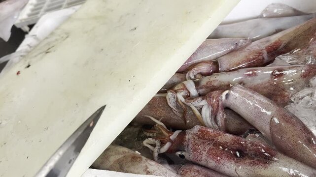 Chef preparing fresh squid at a Japanese izakaya