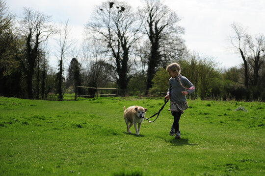 People and pets - a girl and her dog