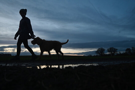 people and pets girls on a walk with their dog