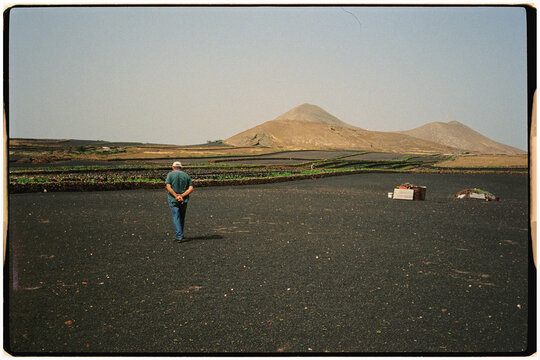 Elderly man strolling through his vineyards in Lanzarote