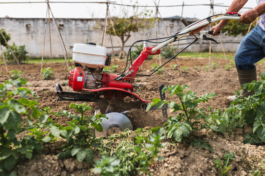 Power Tiller Preparing Earth for New Plantation