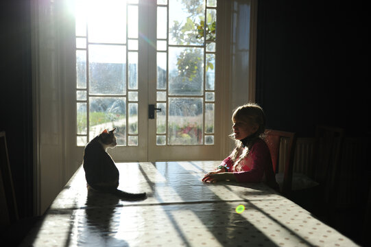 People and pets a girl and a cat on a table