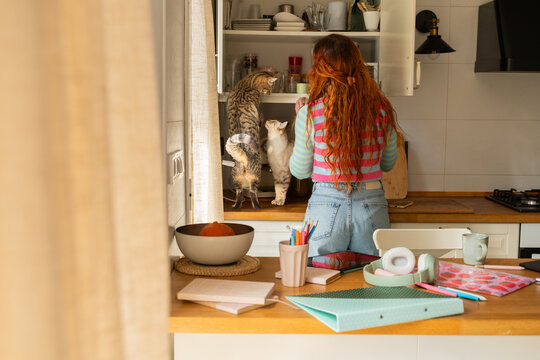 Woman in Kitchen With Cats on the Counter 