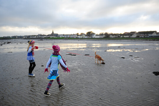 2 girls at the beach with their dog