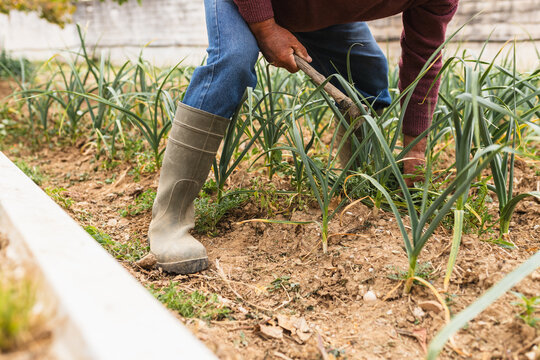 Close Up of Farmer Boots and Hoe Tilling Soil
