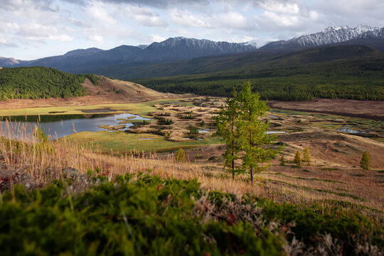 Valley with Lake and Snowy Peaks