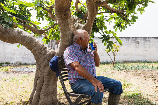 Senior Farmer Taking a Break Under a Shade Tree