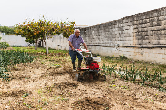 Traditional Farming with Modern Power Tiller in Garden