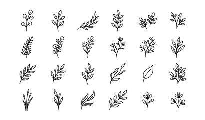 Modern botanical sprig outline collection with simple leaf branch vectors © Jahangir