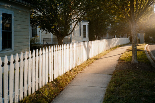 Afternoon light on a picket fence