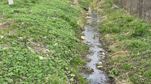 Spring drainage ditch littered with garbage and scattered plastic bottles along muddy trickle, dried leaves and fresh green shoots