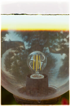 Edison Bulb in Glass Globe
