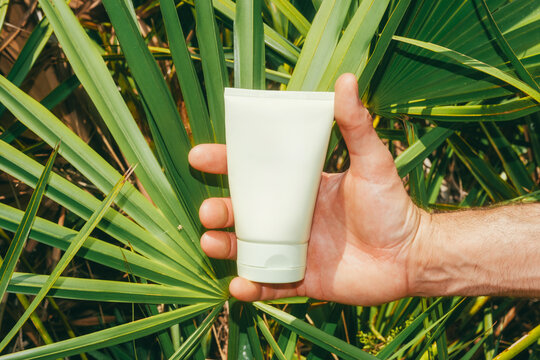 Hand holding sunscreen bottle tropical palm leaves