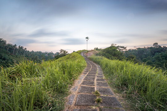 Tropical path leading through green landscape in Ubud, Bali