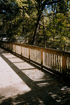 Bridge In A Nature Park