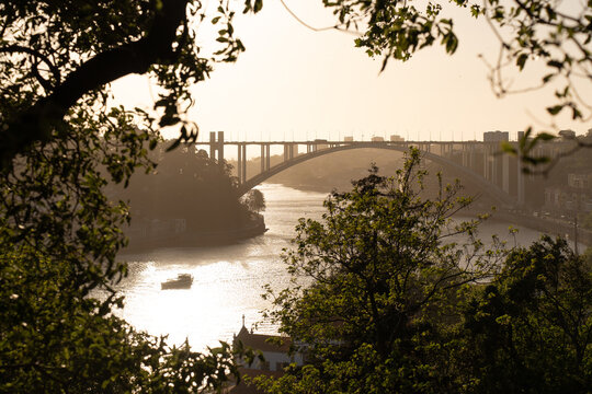 Arrabida Bridge over Douro River at golden hour in Porto