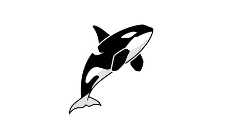Orca Whale Jumping Vector Illustration © Tenor