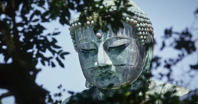 Ancient Bronze Buddha Statue Head Framed by Tree Branches In Japan, Low Angle