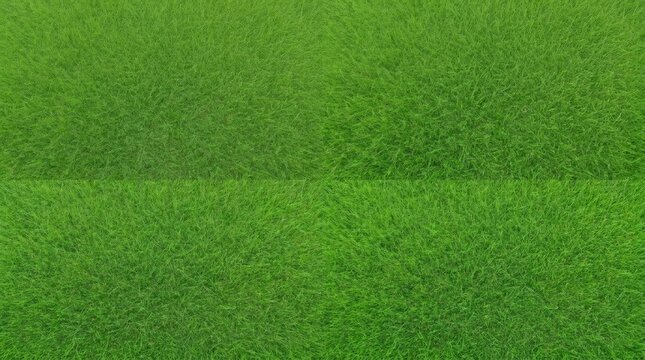Vibrant green grass texture background with natural lawn pattern
