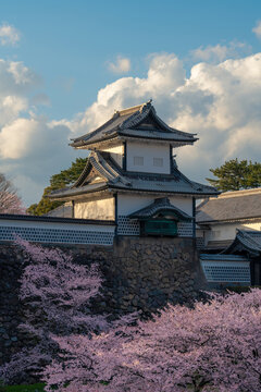 Kanazawa Castle Keep Above Cherry Blossoms