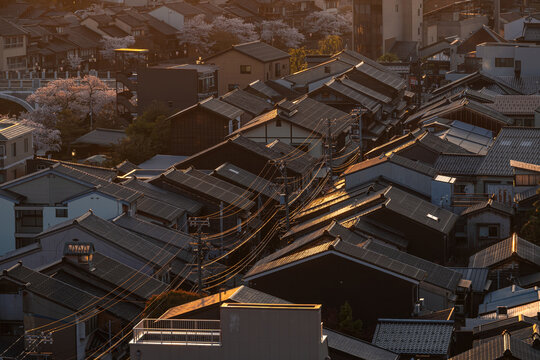 Warm Sunset Light Over Japanese Rooftops