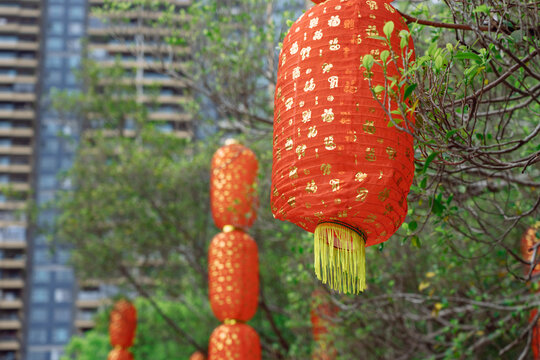 Colorful Lanterns Hang From Trees During a Festival Celebration
