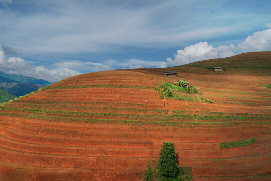 Red earth terraces hillside