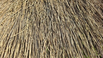 Fototapeta premium Dry thatched roof texture background, Dry Straw Texture Background, Natural Hay Pattern, Rustic Agriculture Concept